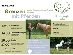 Coaching mit Pferden