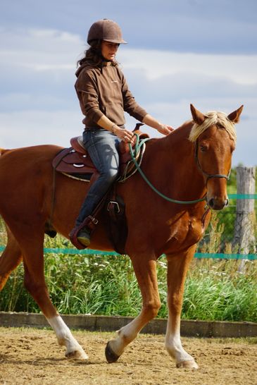Westerndressur